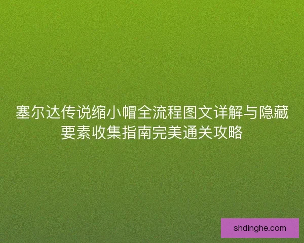 塞尔达传说缩小帽全流程图文详解与隐藏要素收集指南完美通关攻略