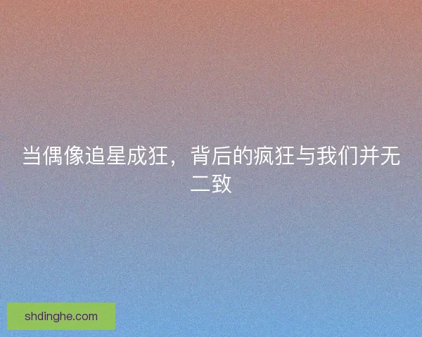 当偶像追星成狂，背后的疯狂与我们并无二致