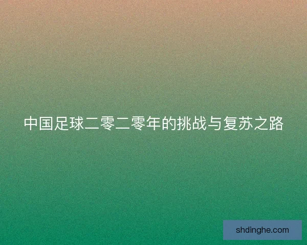 中国足球二零二零年的挑战与复苏之路